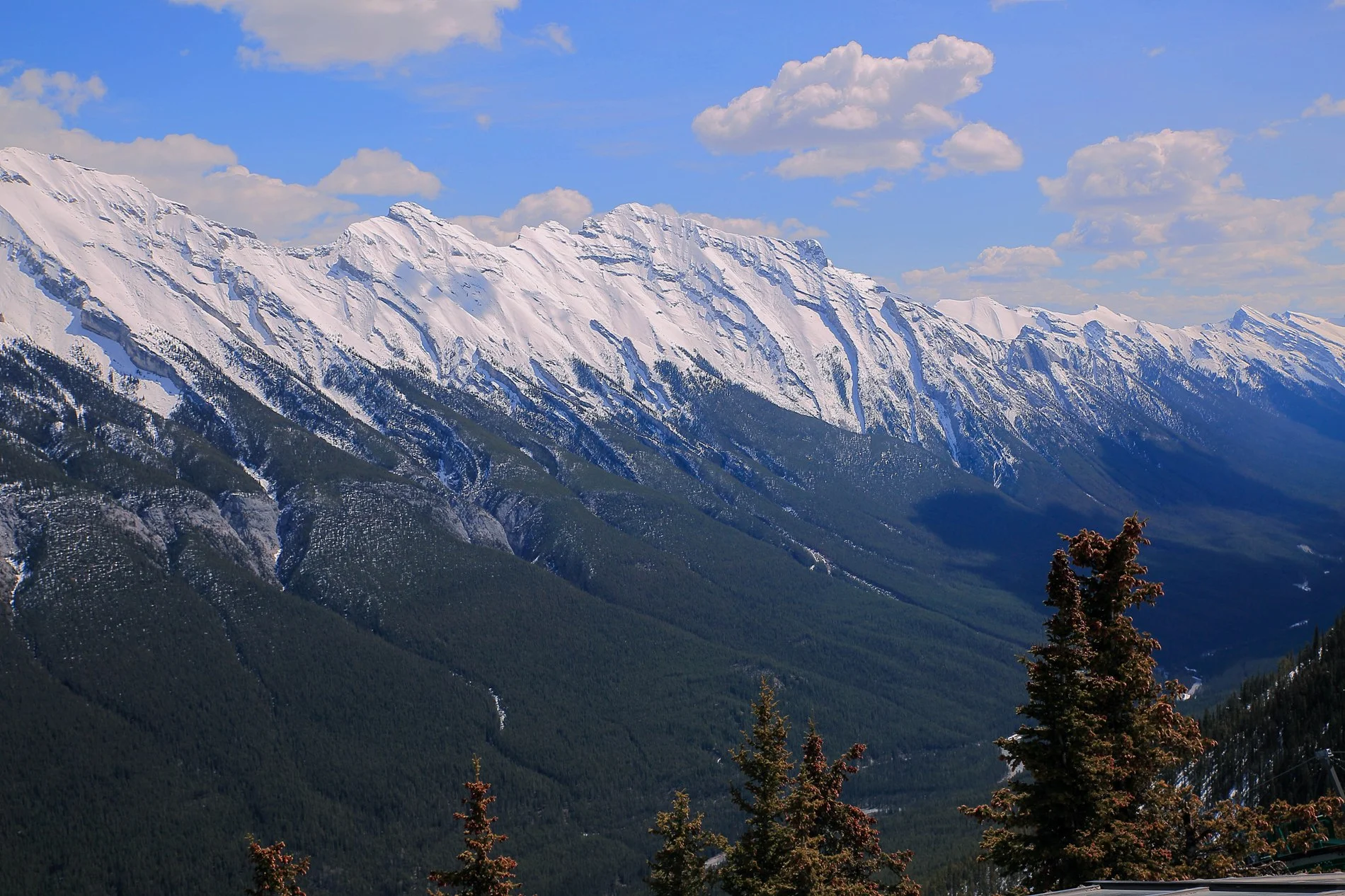 Canadian Rockies,Banff Gondola,210,-.JPG