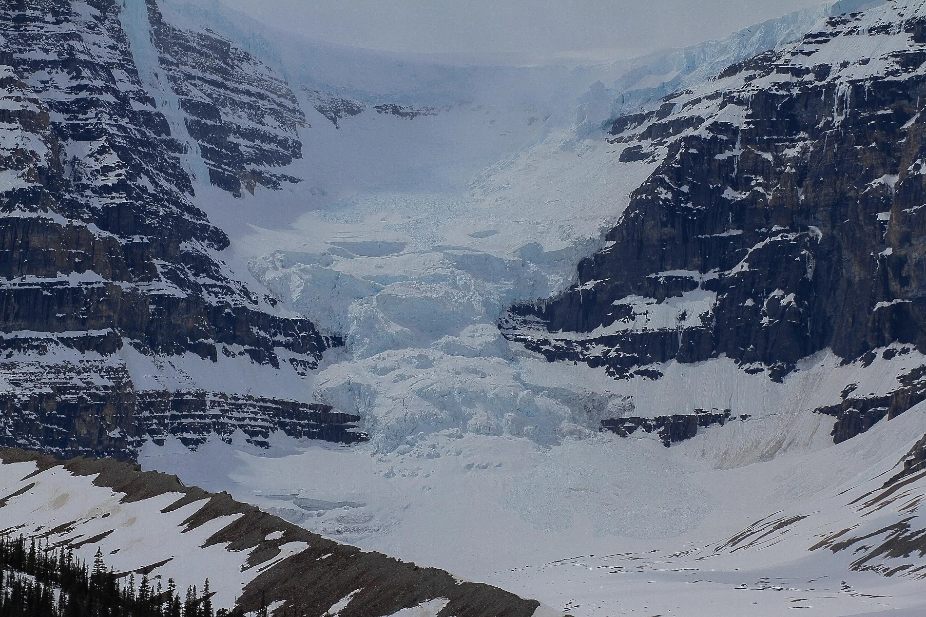 Canadian Rockies,Columbia Icefields,029,-.JPG
