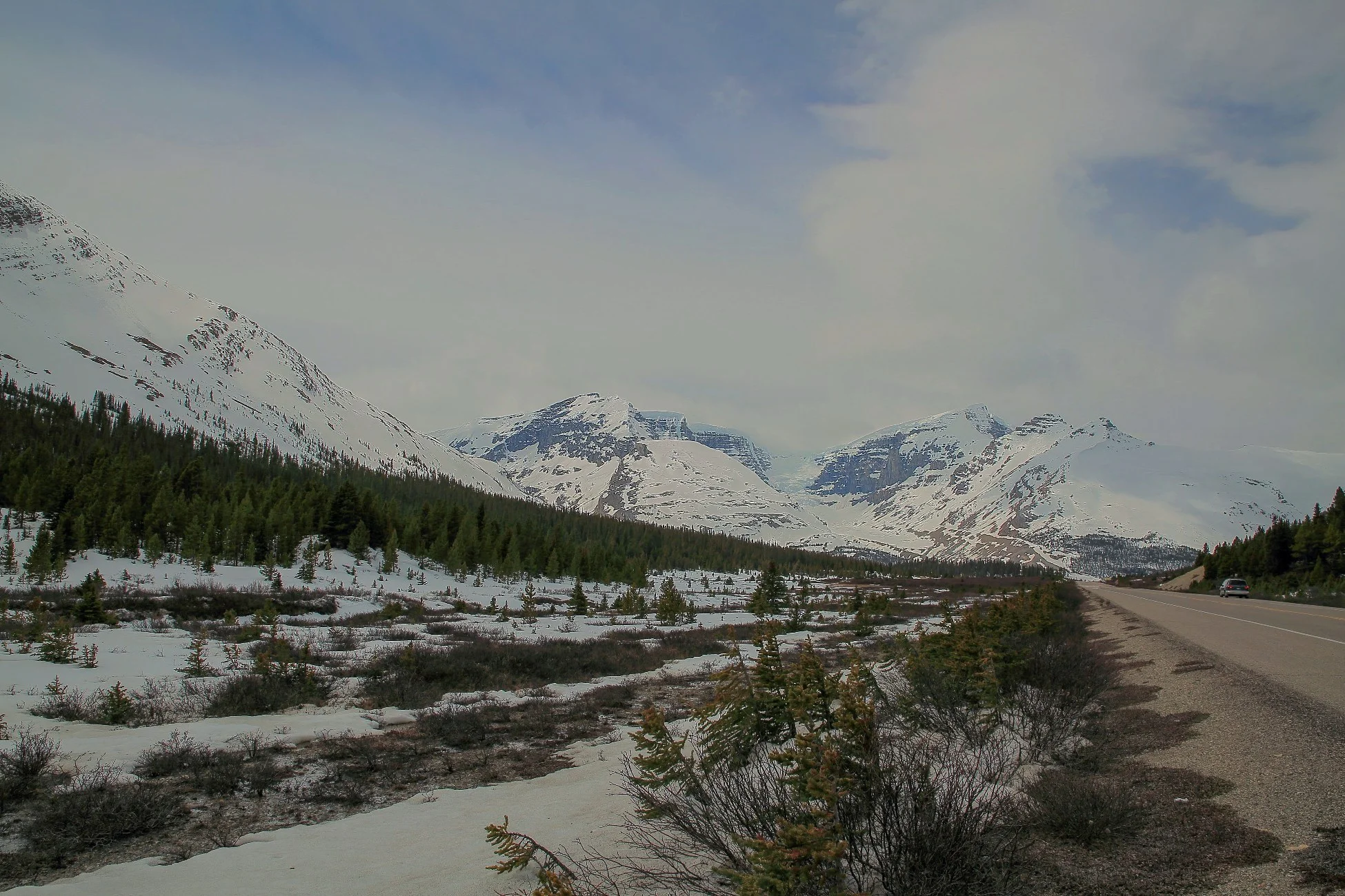 Canadian Rockies,Columbia Icefields,281,-.JPG