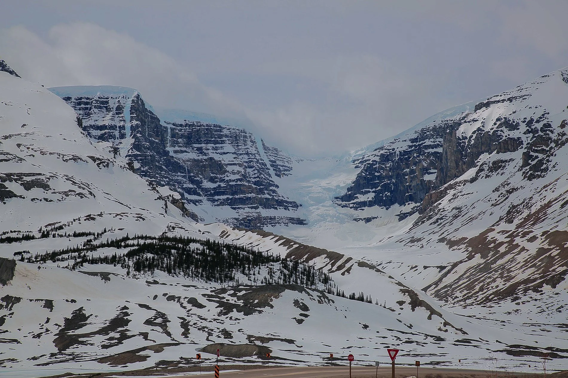 Canadian Rockies,Columbia Icefields,283,-.JPG