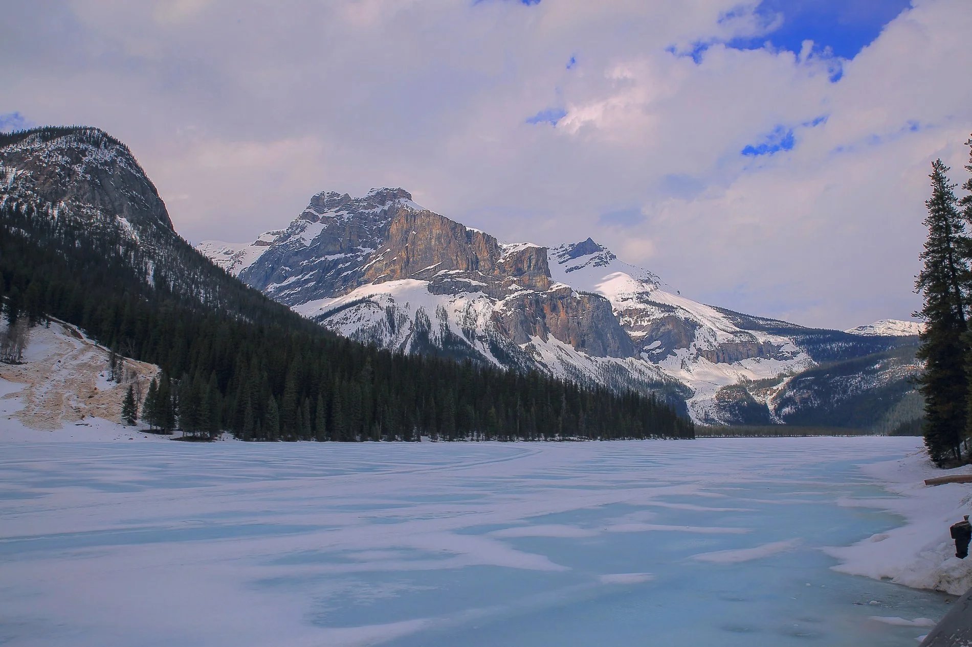 Canadian Rockies,Emerald Lake,450,-.JPG