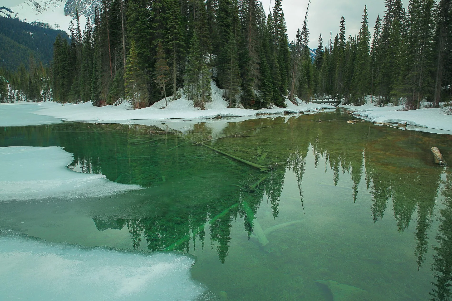 Canadian Rockies,Emerald Lake,456,-.JPG