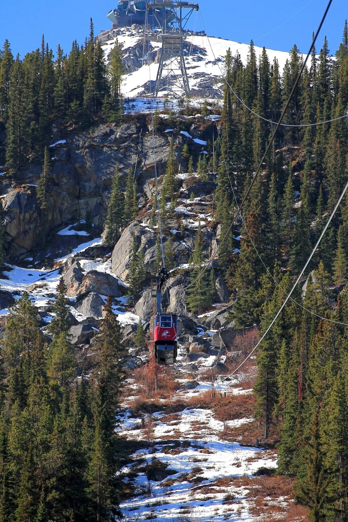 Canadian Rockies,Jasper Tramway,078,-.JPG