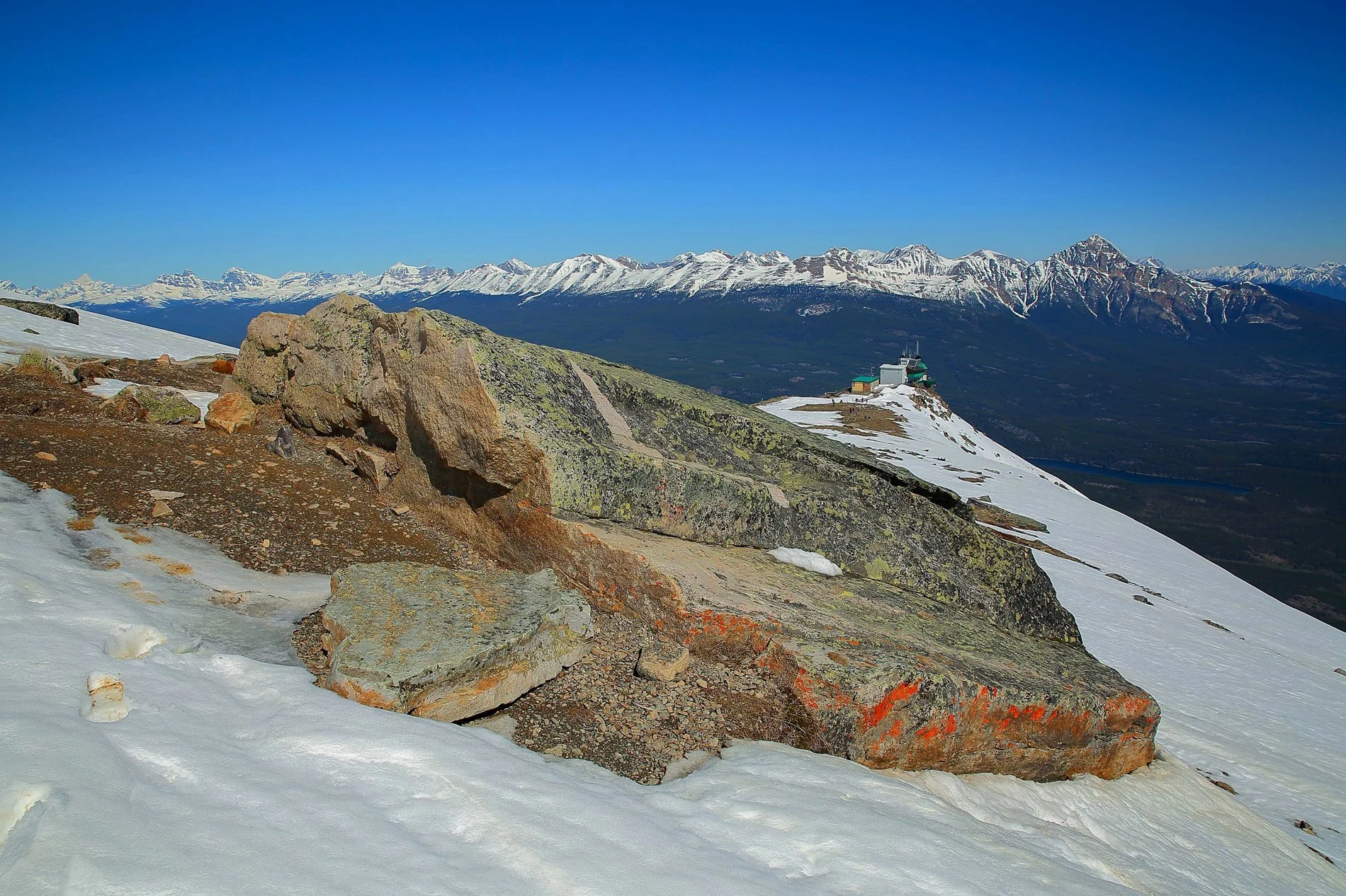Canadian Rockies,Jasper Tramway,495,-.JPG
