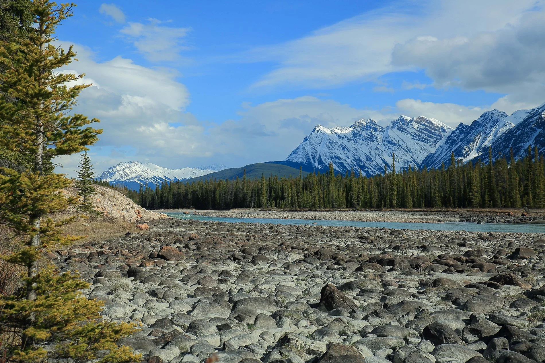 Canadian Rockies,Jasper,313,-.JPG