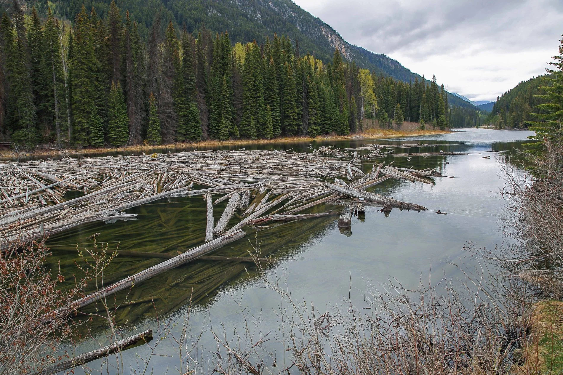 Canadian Rockies,Lake Duffy,163,-.JPG