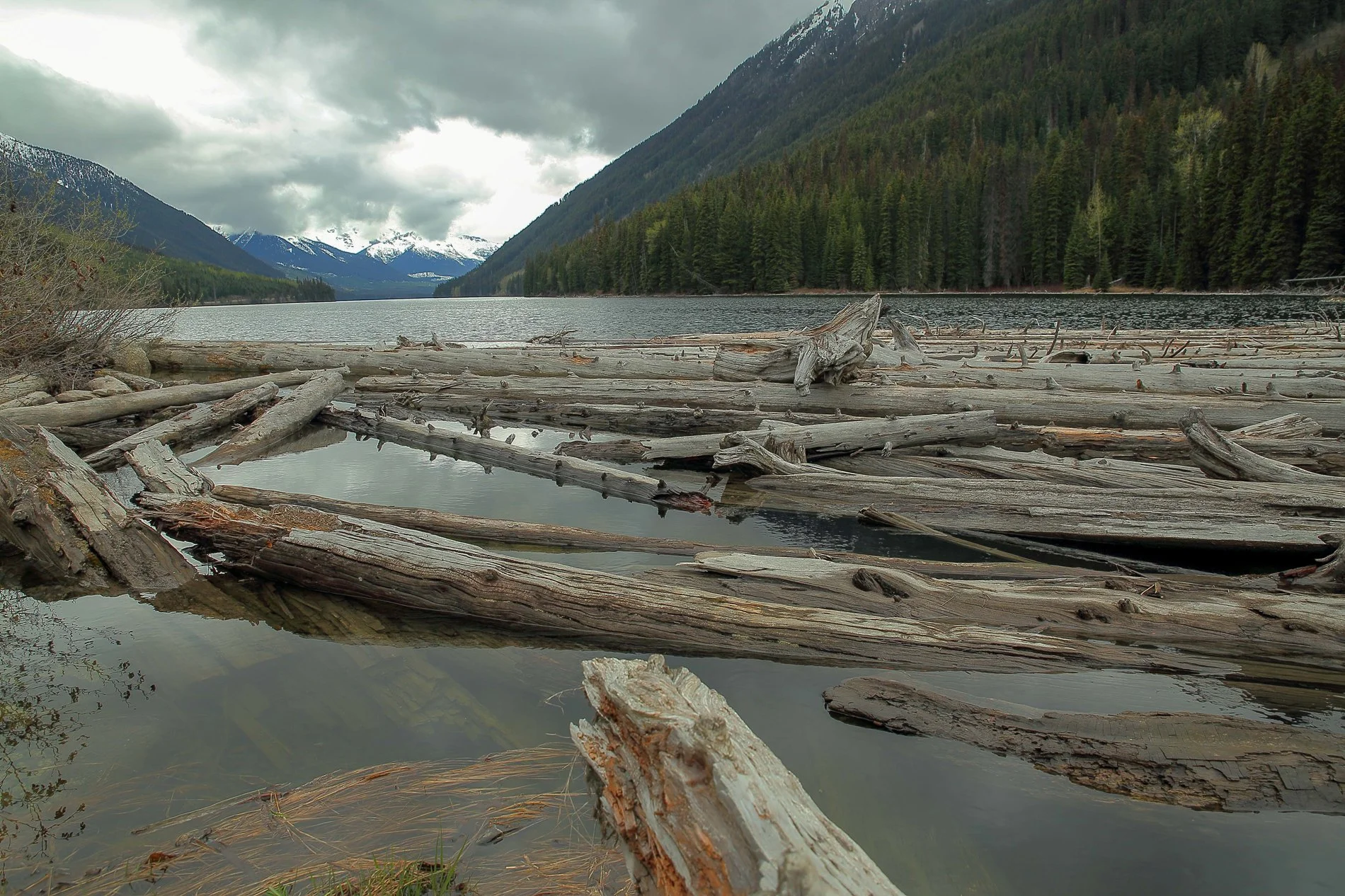 Canadian Rockies,Lake Duffy,166,-.JPG
