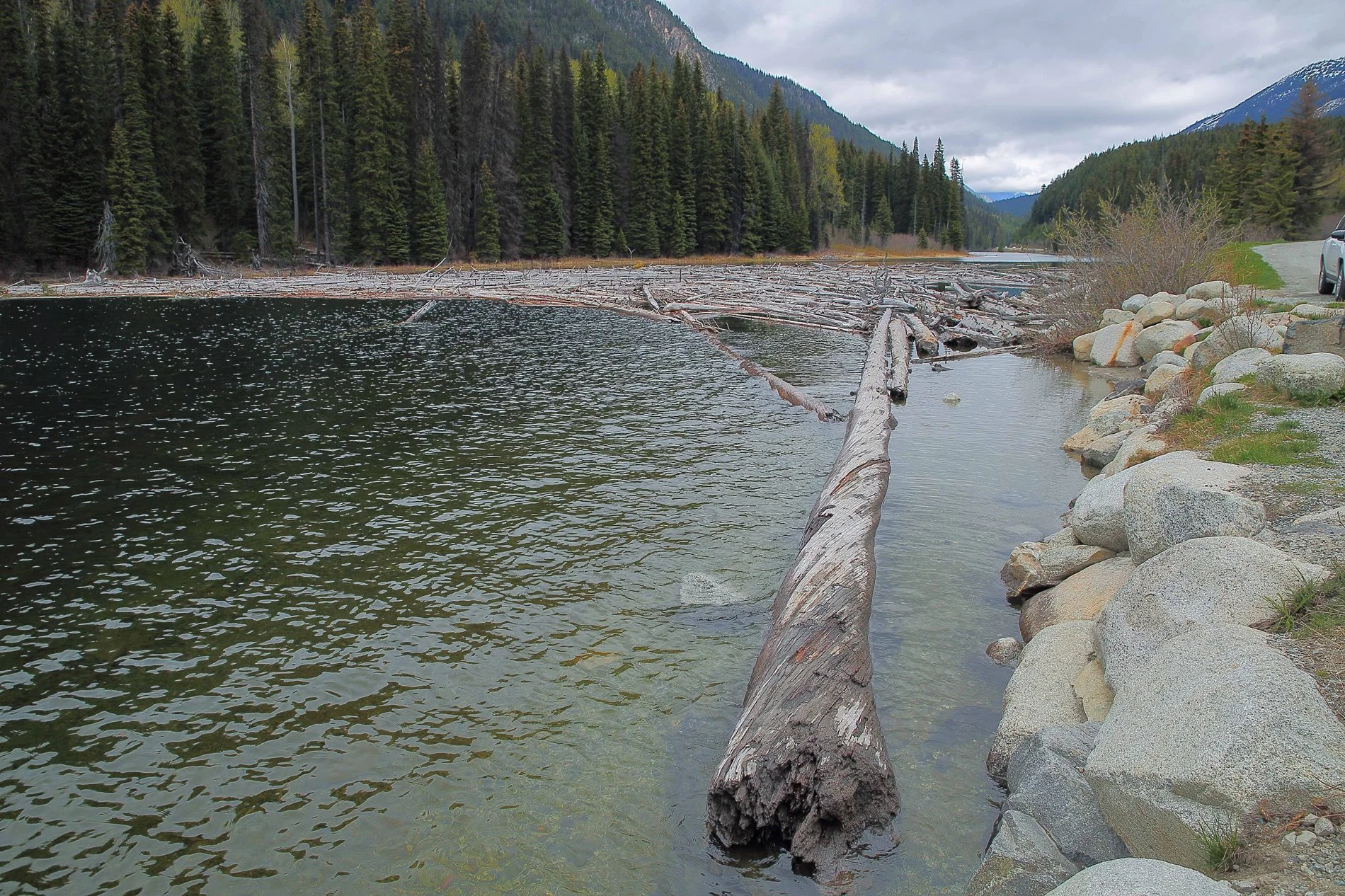 Canadian Rockies,Lake Duffy,173,-.JPG