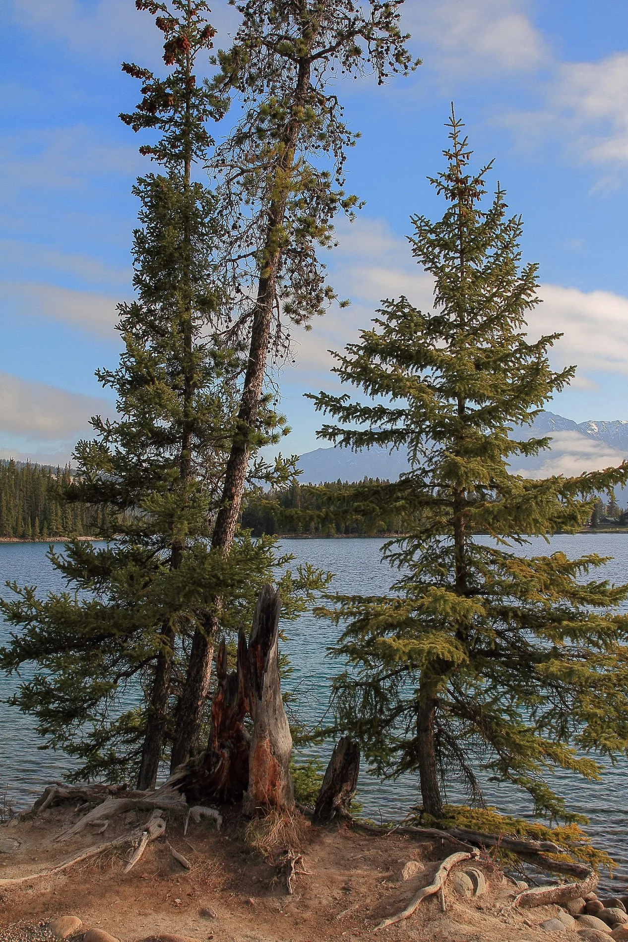 Canadian Rockies,Lake Edith,076,-.JPG