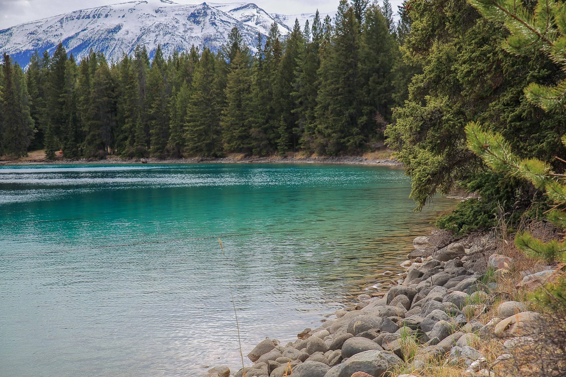 Canadian Rockies,Lake Edith,407,-.JPG