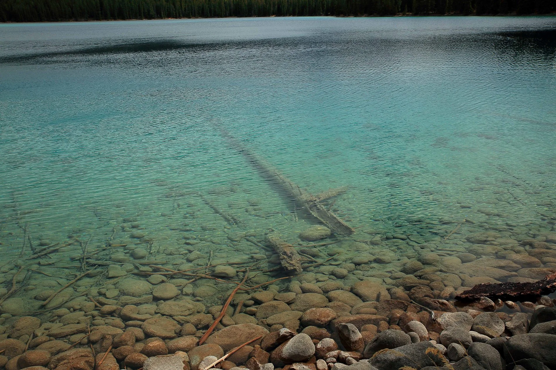 Canadian Rockies,Lake Edith,409,-.JPG