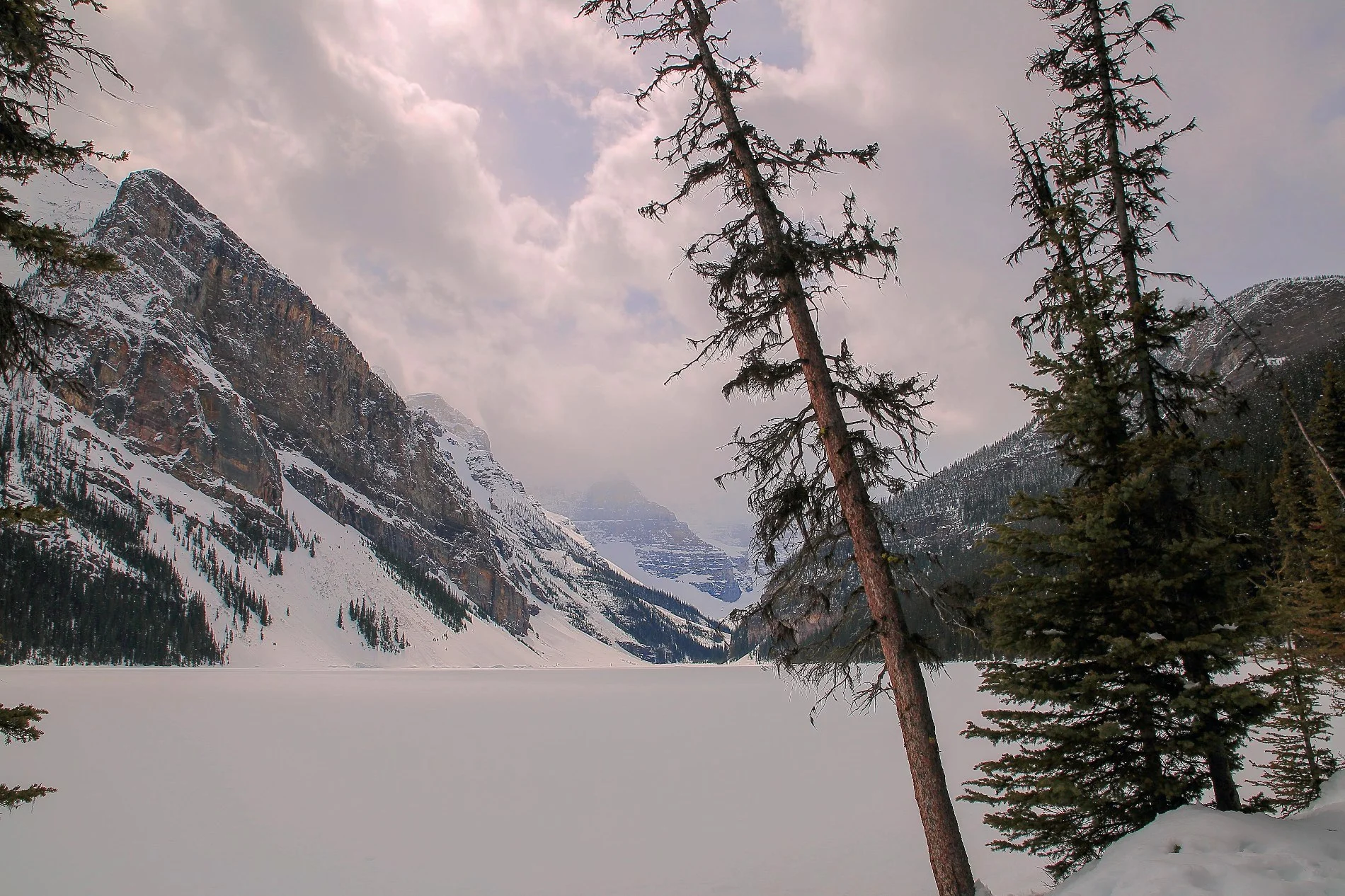 Canadian Rockies,Lake Louise,399,-.JPG