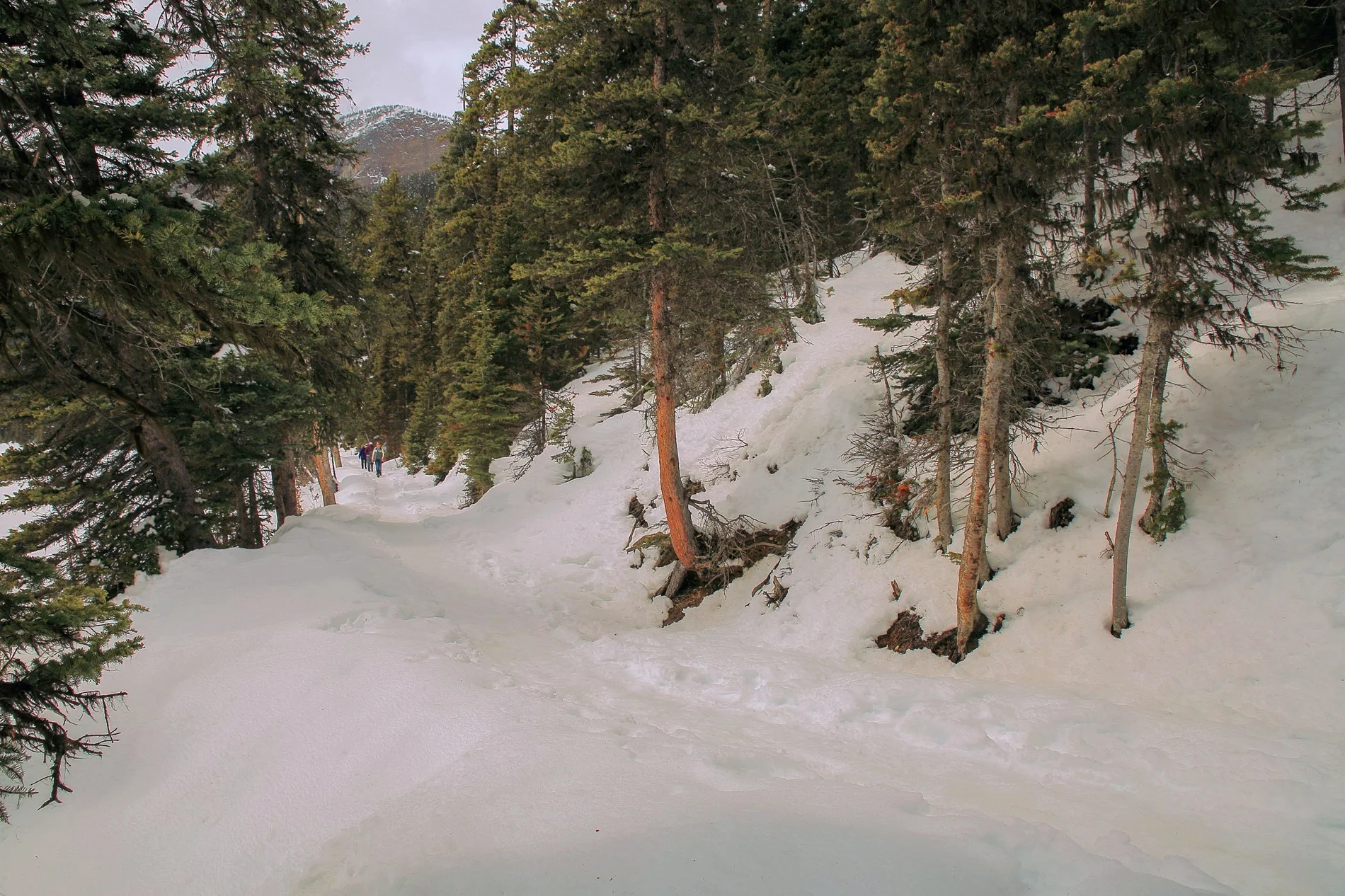 Canadian Rockies,Lake Louise,403,-.JPG