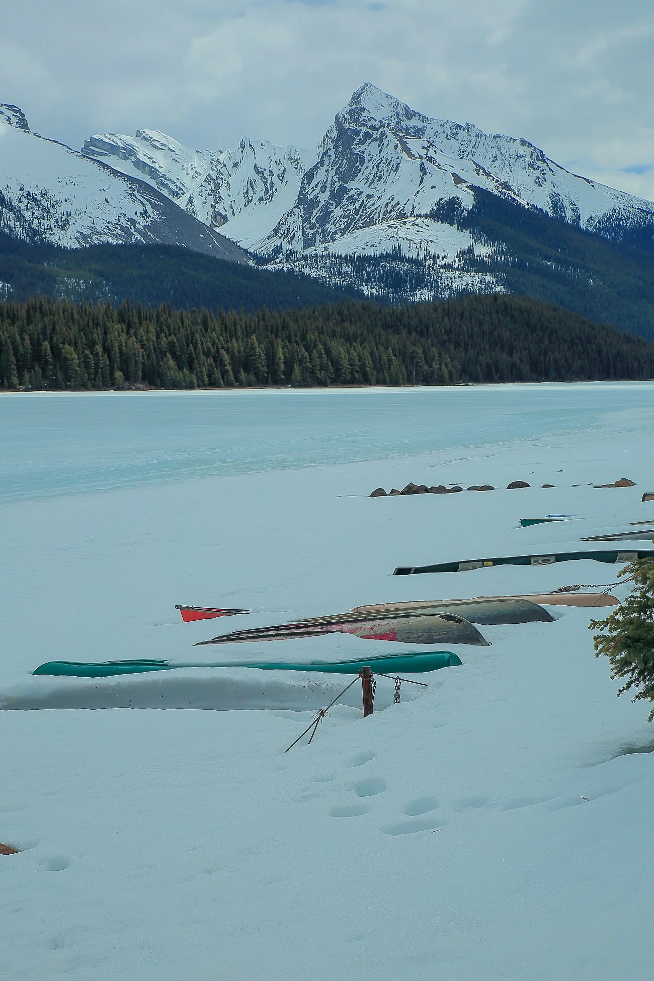 Canadian Rockies,Lake Maligne,355,-.JPG