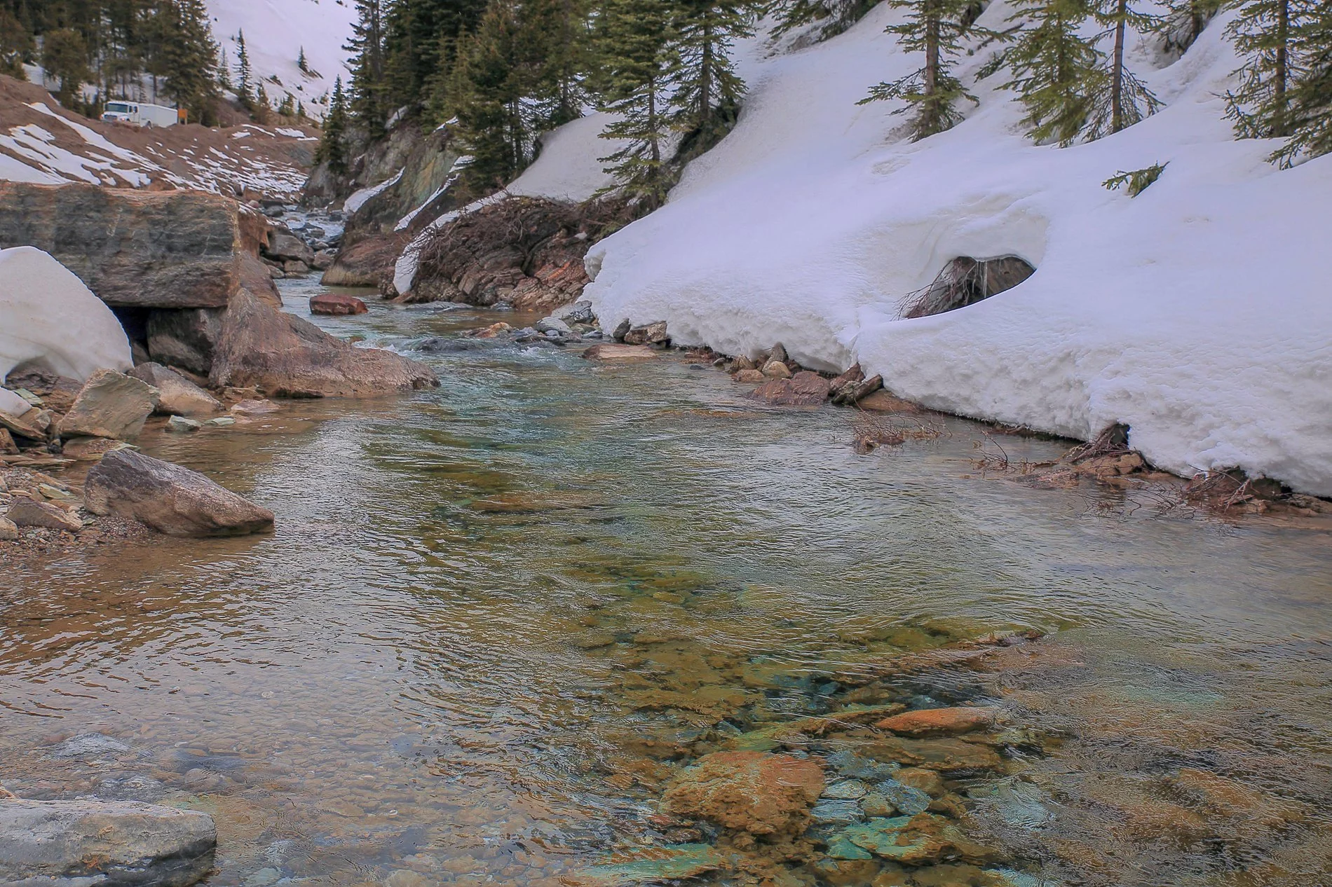 Canadian Rockies,Yoho Nat Park,353,-.JPG