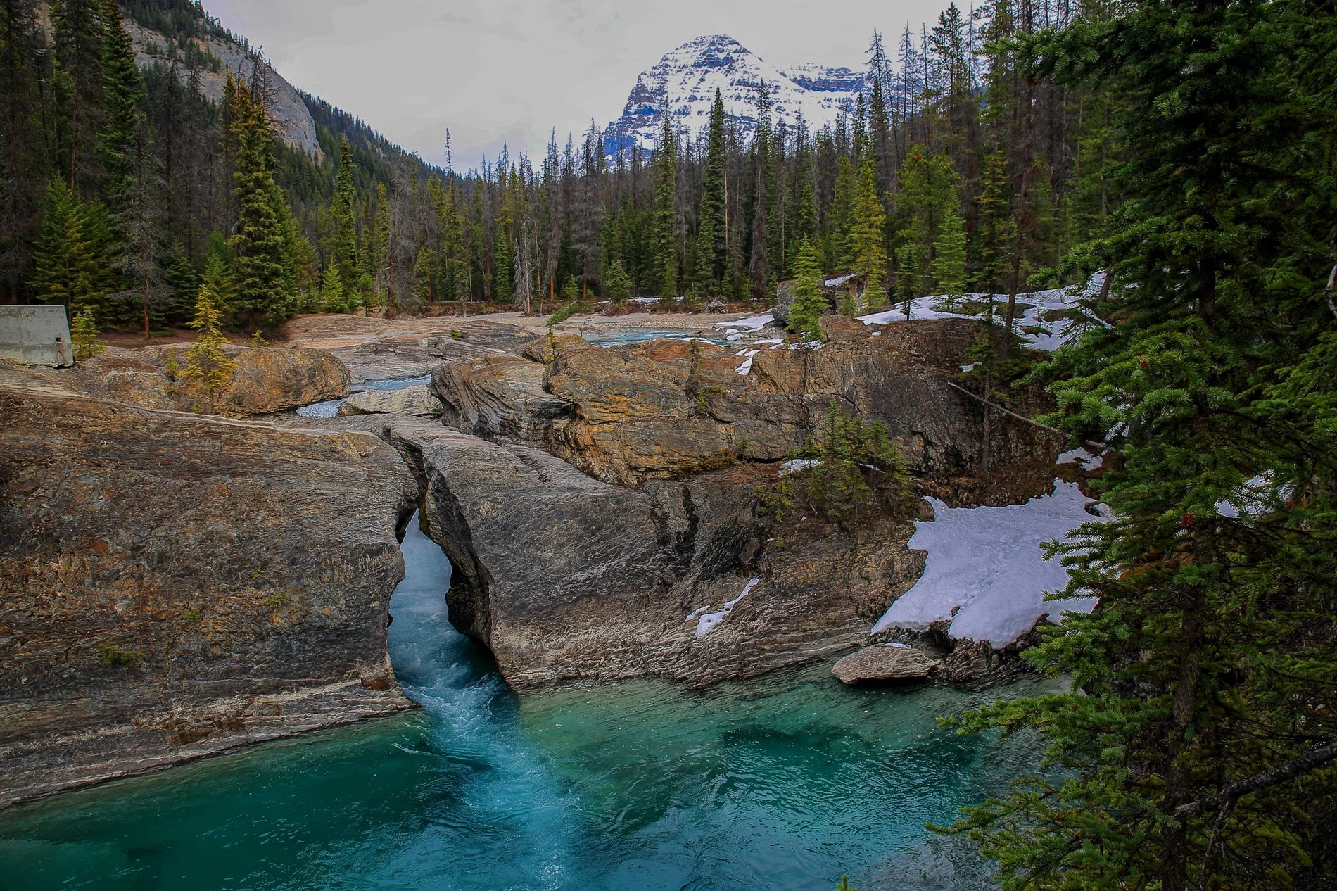 Canadian Rockies,Yoho Nat Park,439,-.JPG