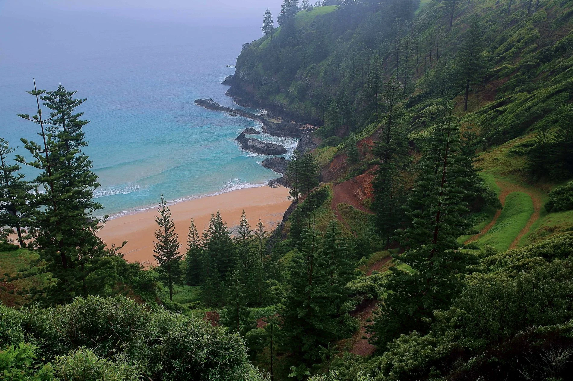Norfolk Is,Anson Bay,153,-.JPG