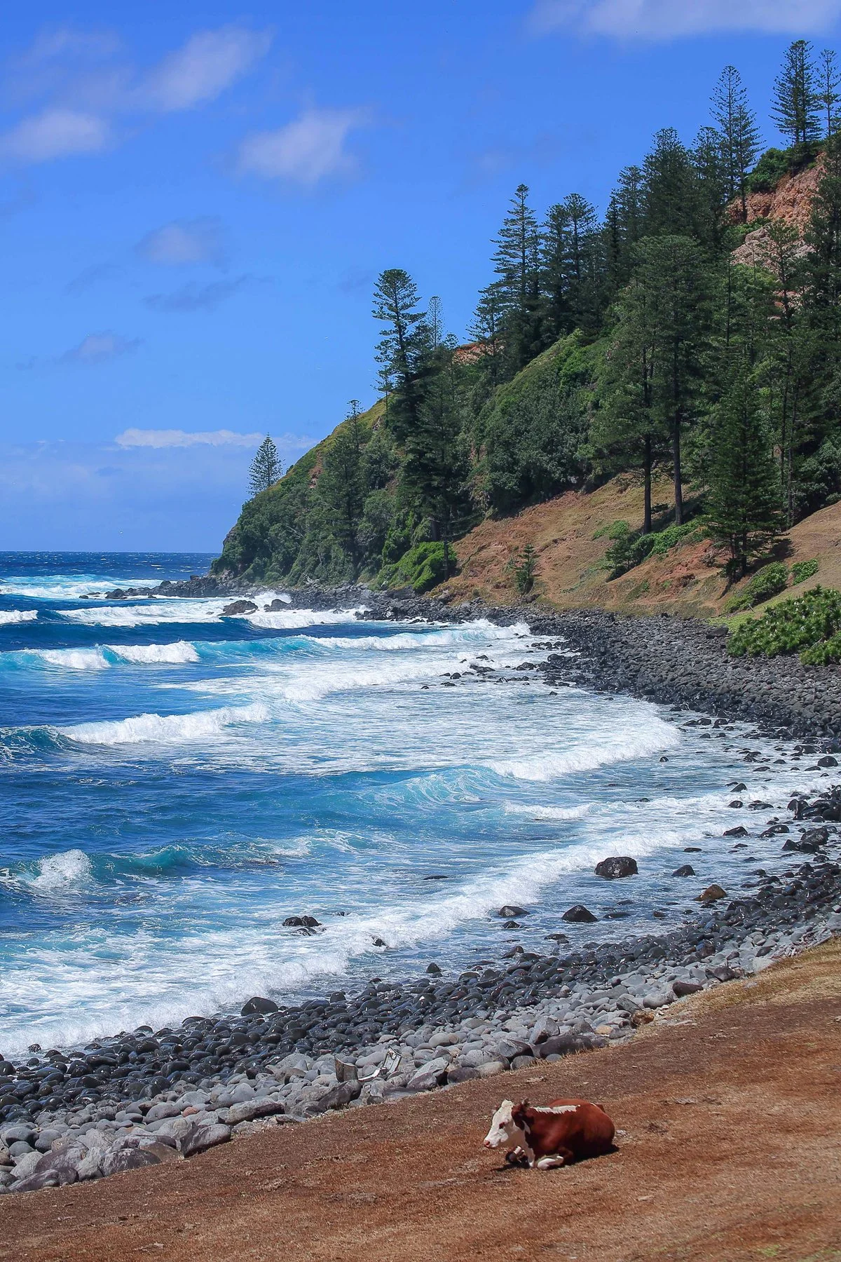 Norfolk Is,Ball Bay,4419,-.JPG