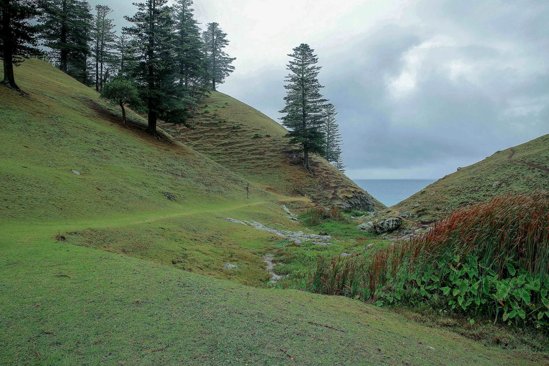 Norfolk Is,Cascades,251,-.JPG