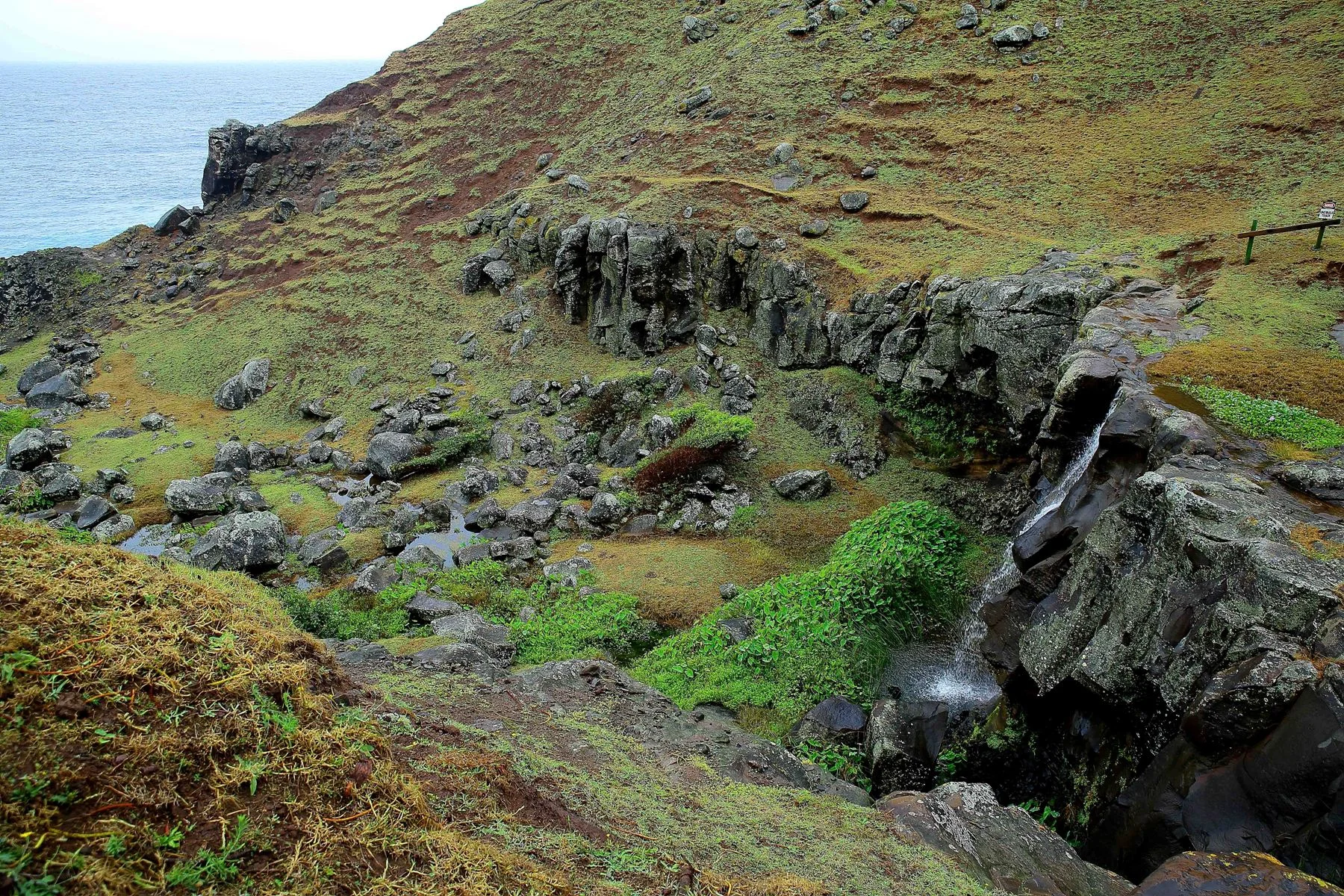 Norfolk Is,Cascades,263,-.JPG