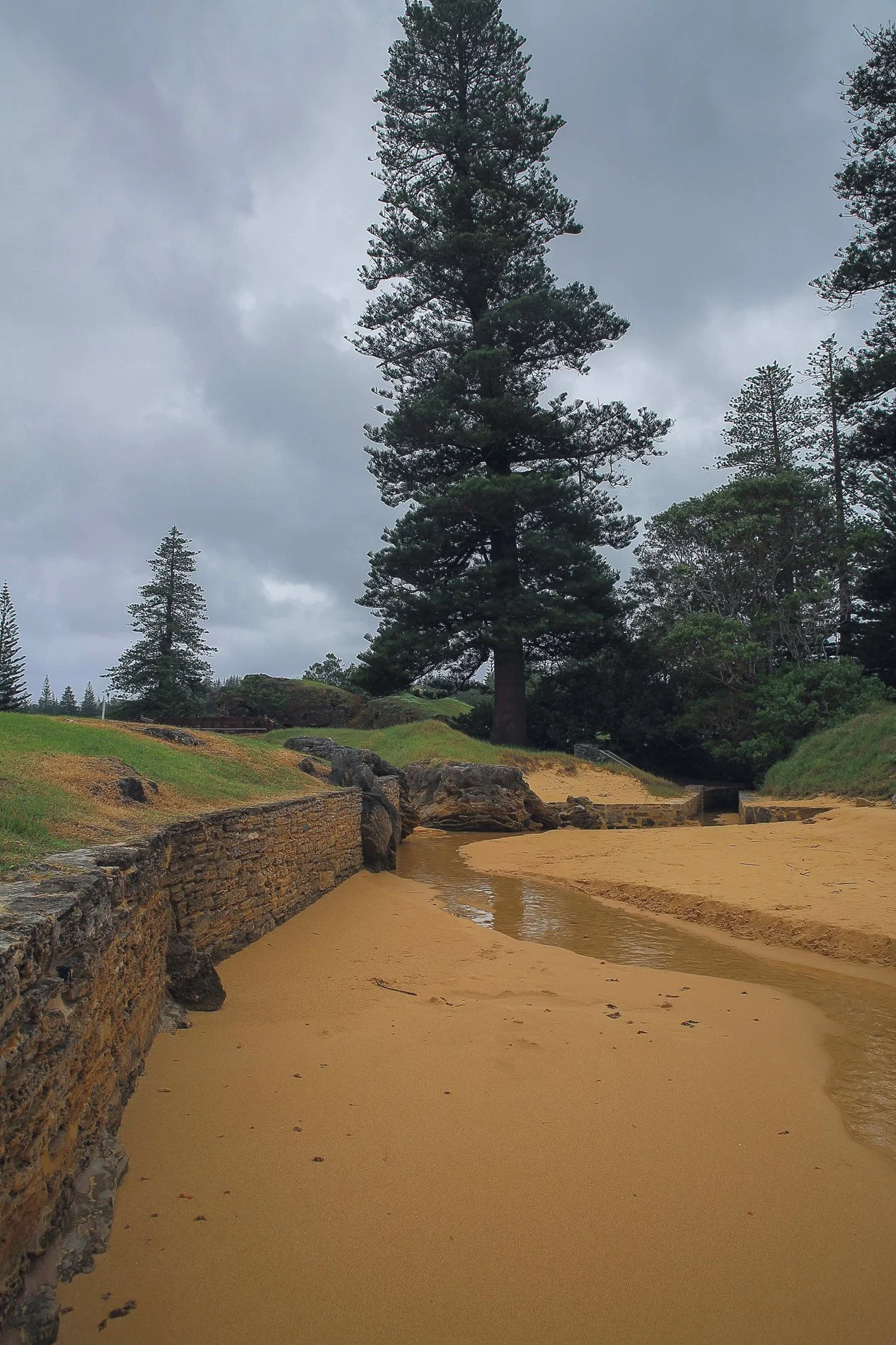 Norfolk Is,Emily Bay,071,-.JPG