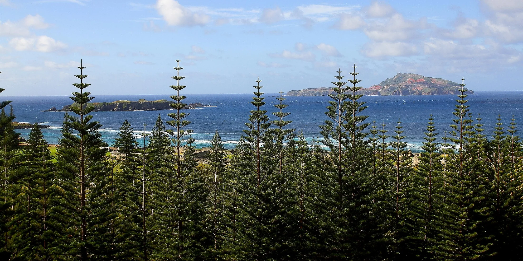 Norfolk Is,Nepean & Philip Islands,483-.JPG