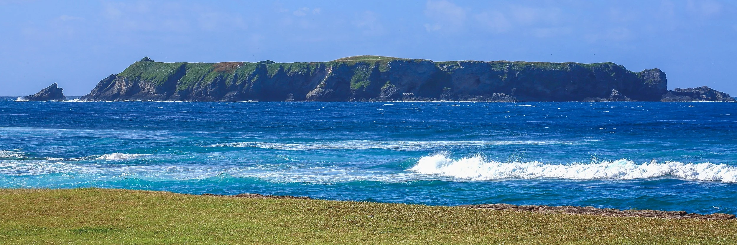 Norfolk Is,Nepean Is,4519,-.JPG