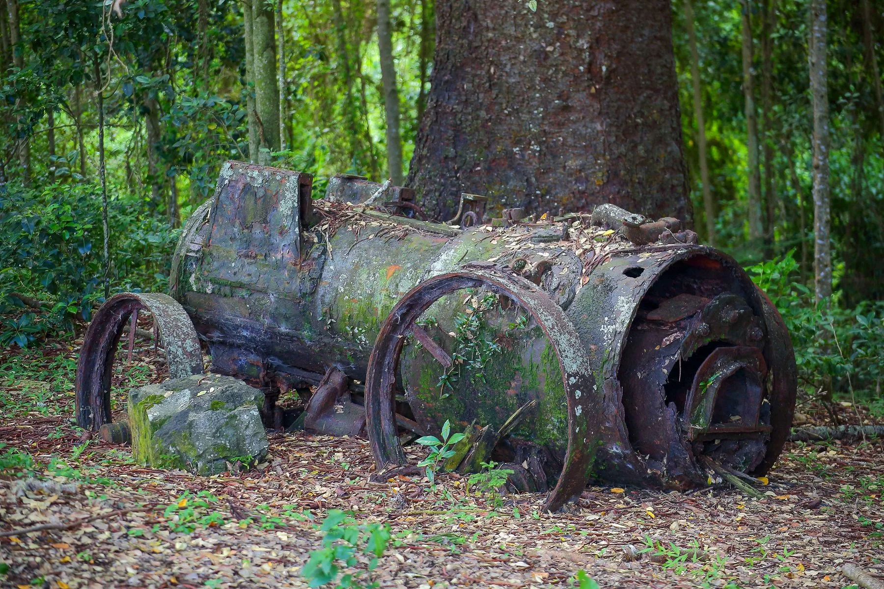 Norfolk Is,Old Engine,4442,-.JPG