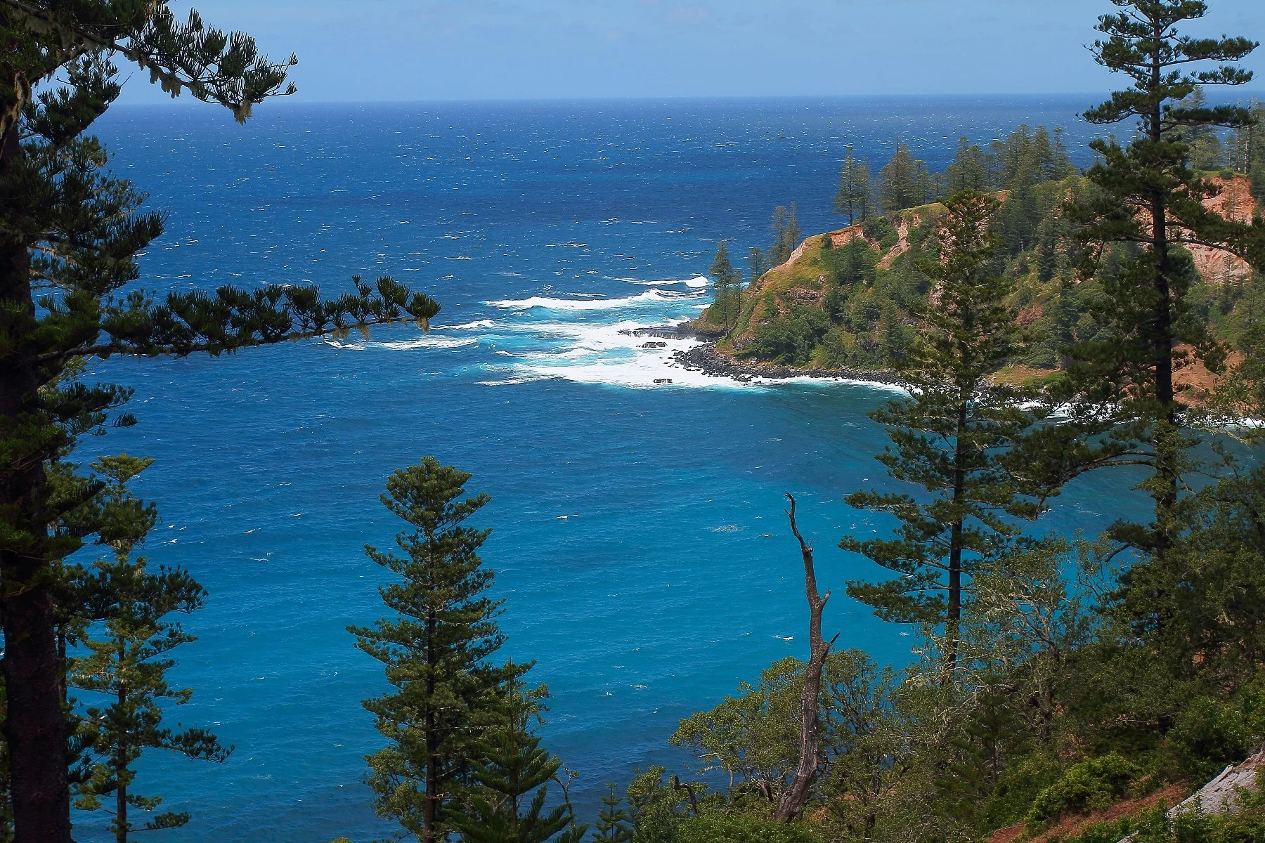 Norfolk Is,South West Coast,366,-.JPG