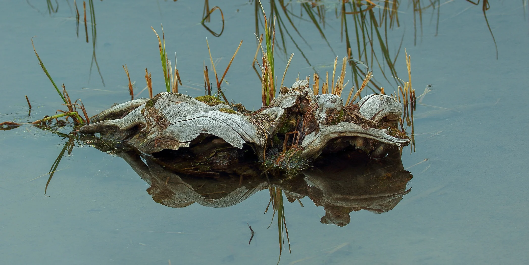 USA,Grand Tetons Nat Park,398,-.JPG