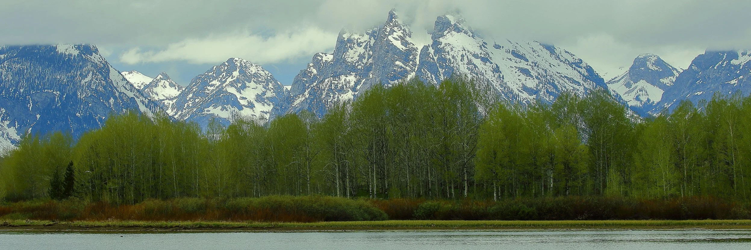 USA,Grand Tetons Nat Park,482,-.JPG