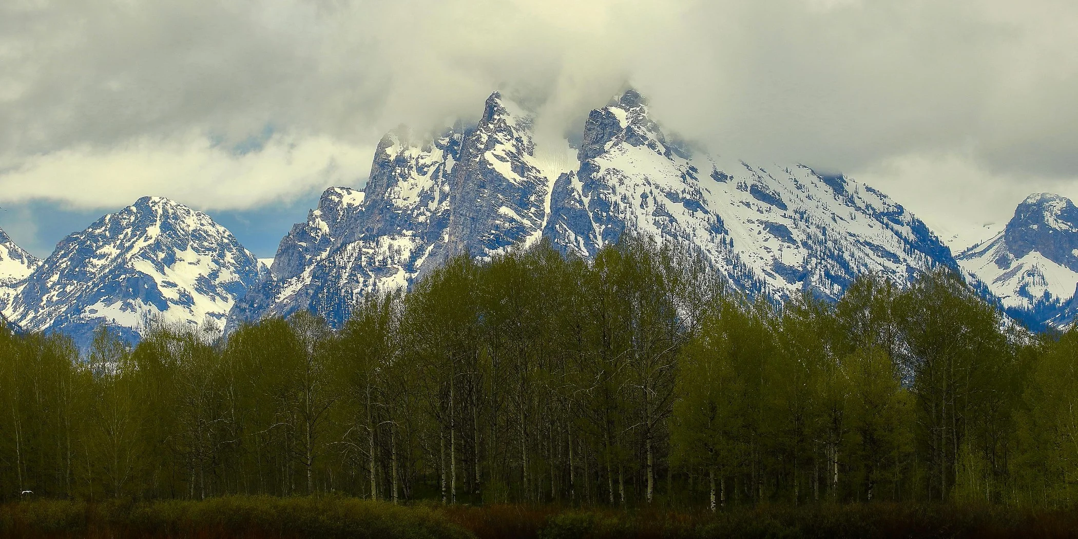 USA,Grand Tetons Nat Park,483,-.JPG