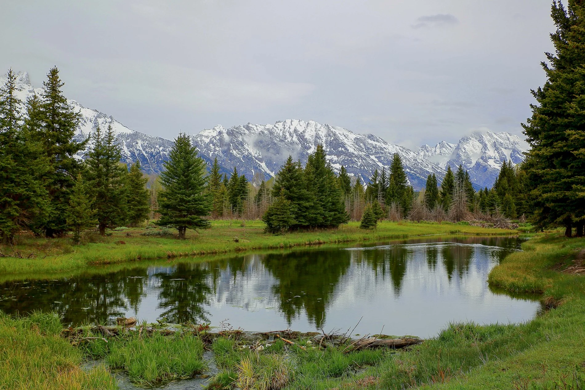 USA,Grand Tetons Nat Park,1128,-.JPG