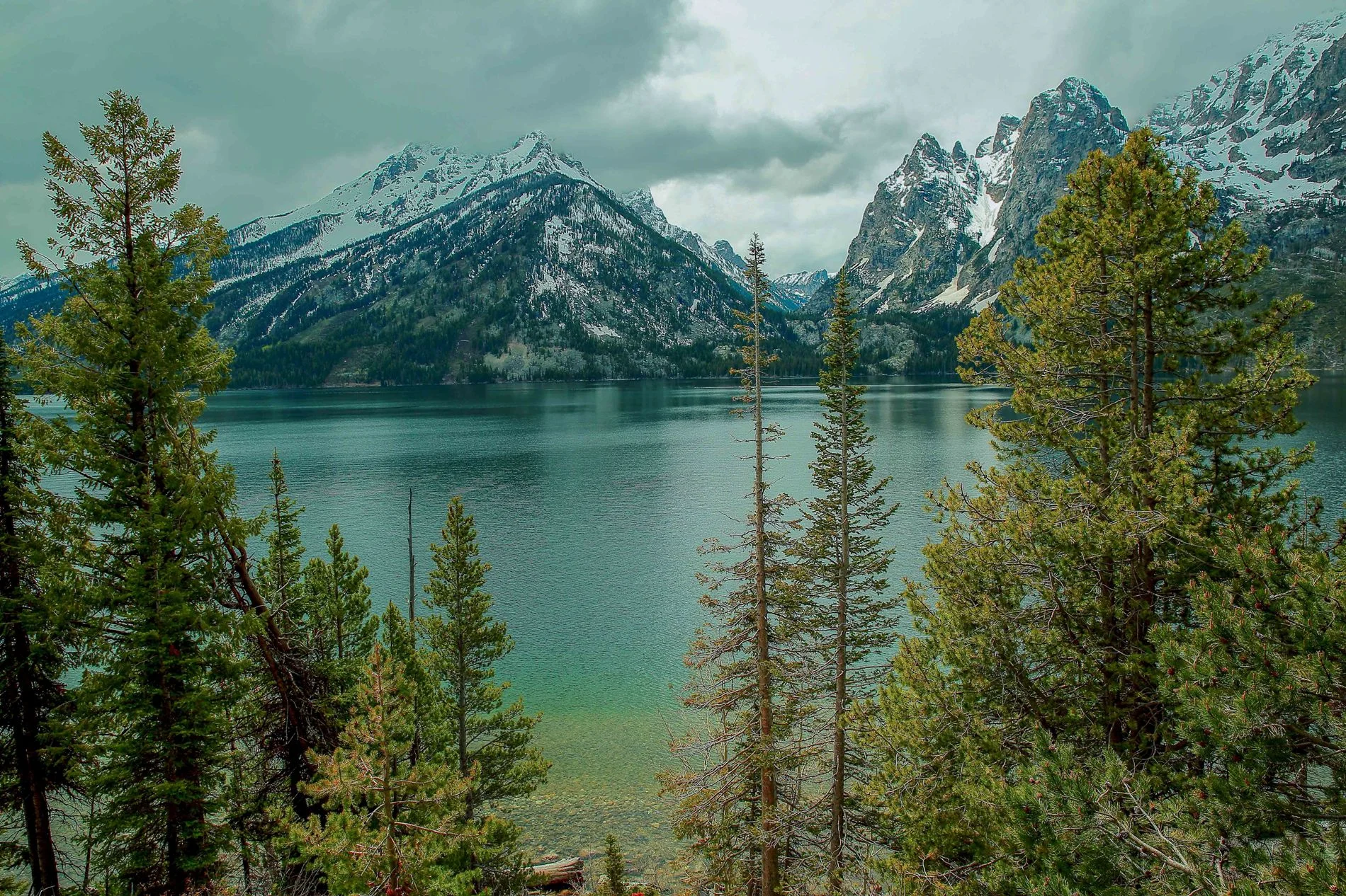 USA,Grand Tetons Nat Park,Jackson Lake,1116,-.JPG