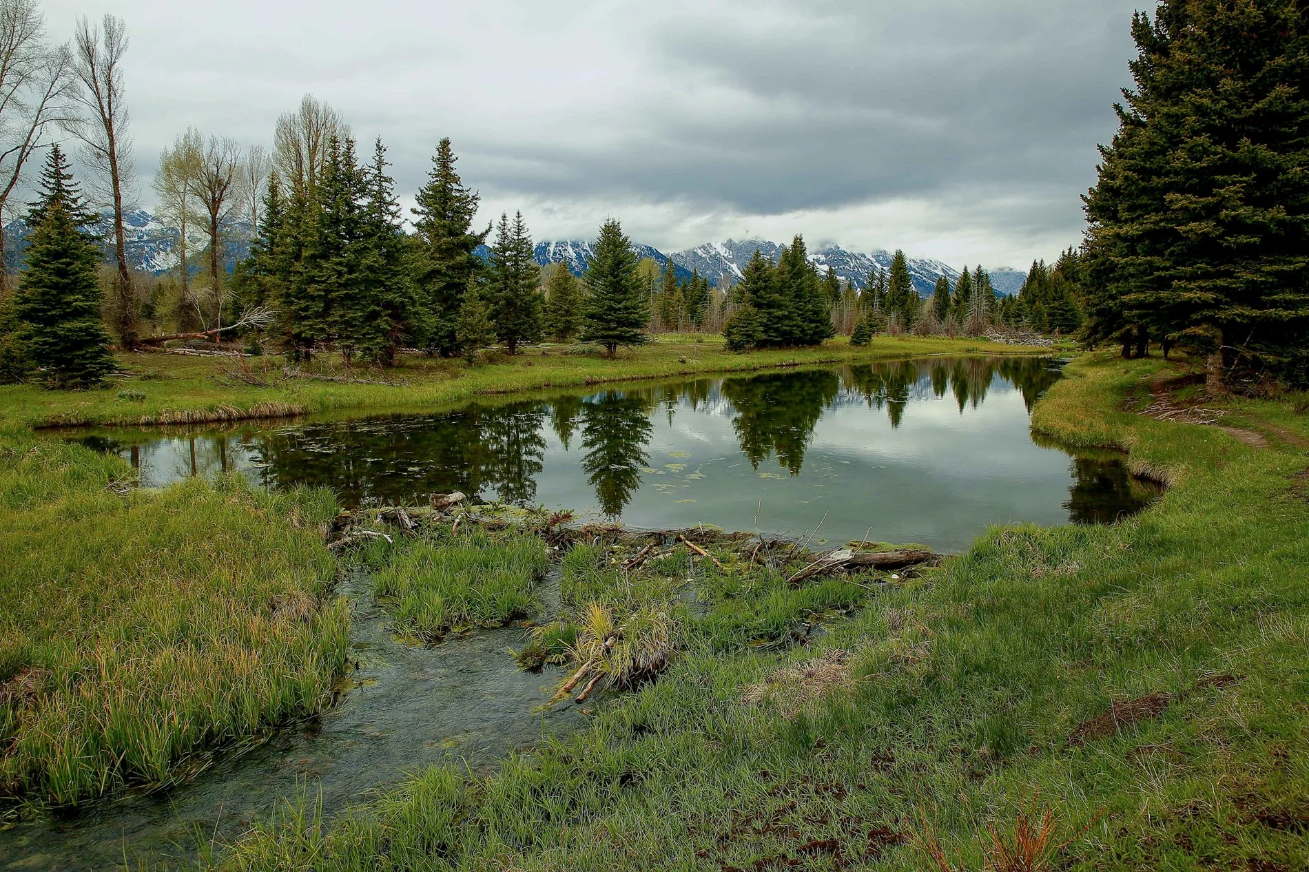 USA,Grand Tetons Nat Park,Swambacher Rd,1068,-.JPG