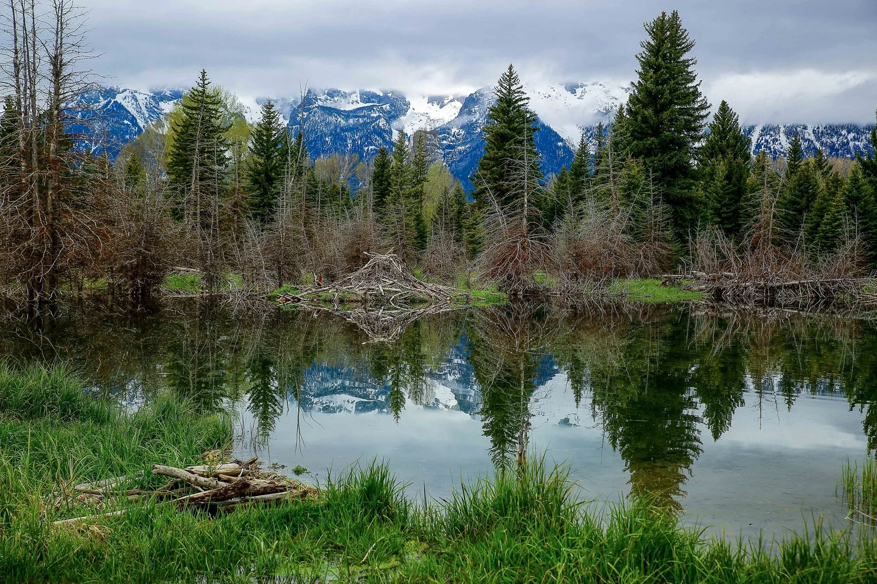 USA,Grand Tetons Nat Park,Swambacher Rd,1070,-.JPG
