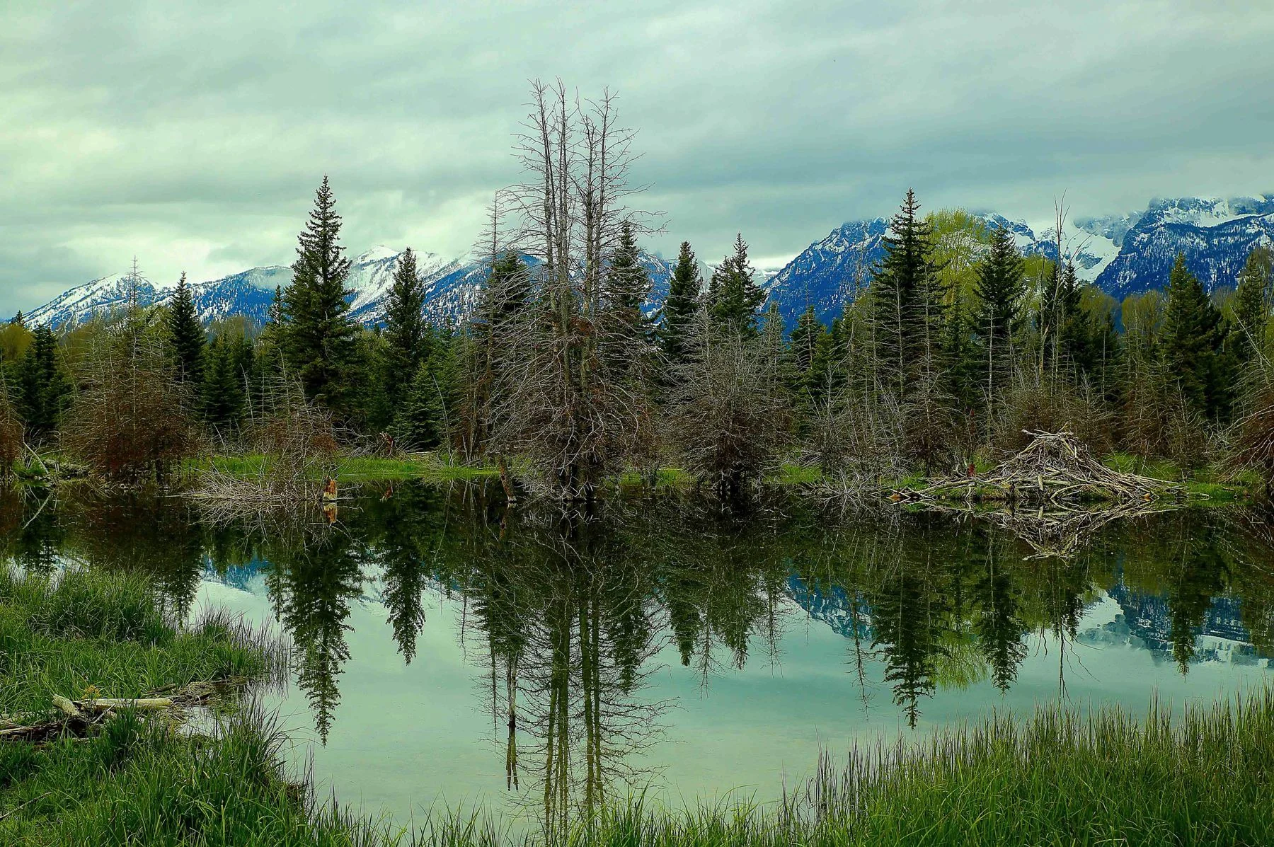USA,Grand Tetons Nat Park,Swambacher Rd,1071,-.JPG