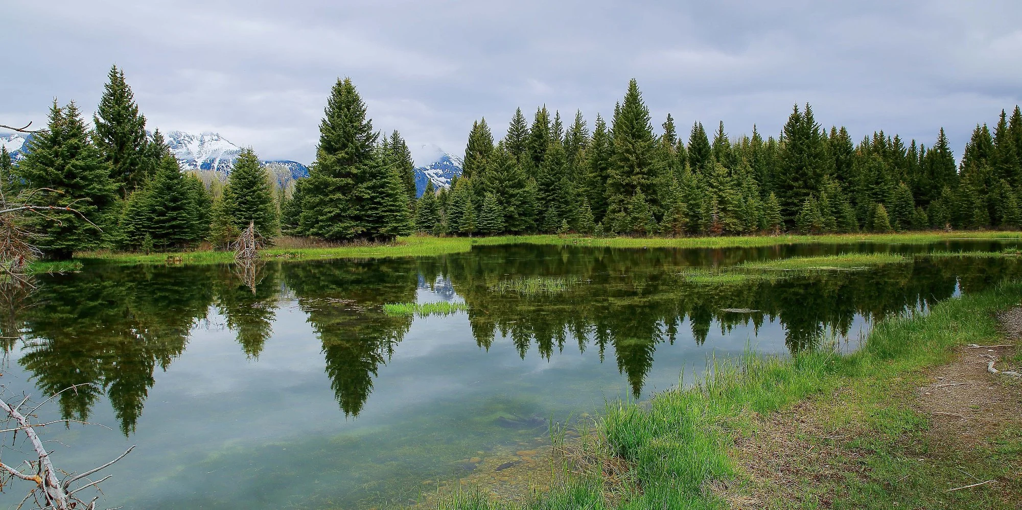 USA,Grand Tetons Nat Park,Swambacher Rd,1083,-.JPG