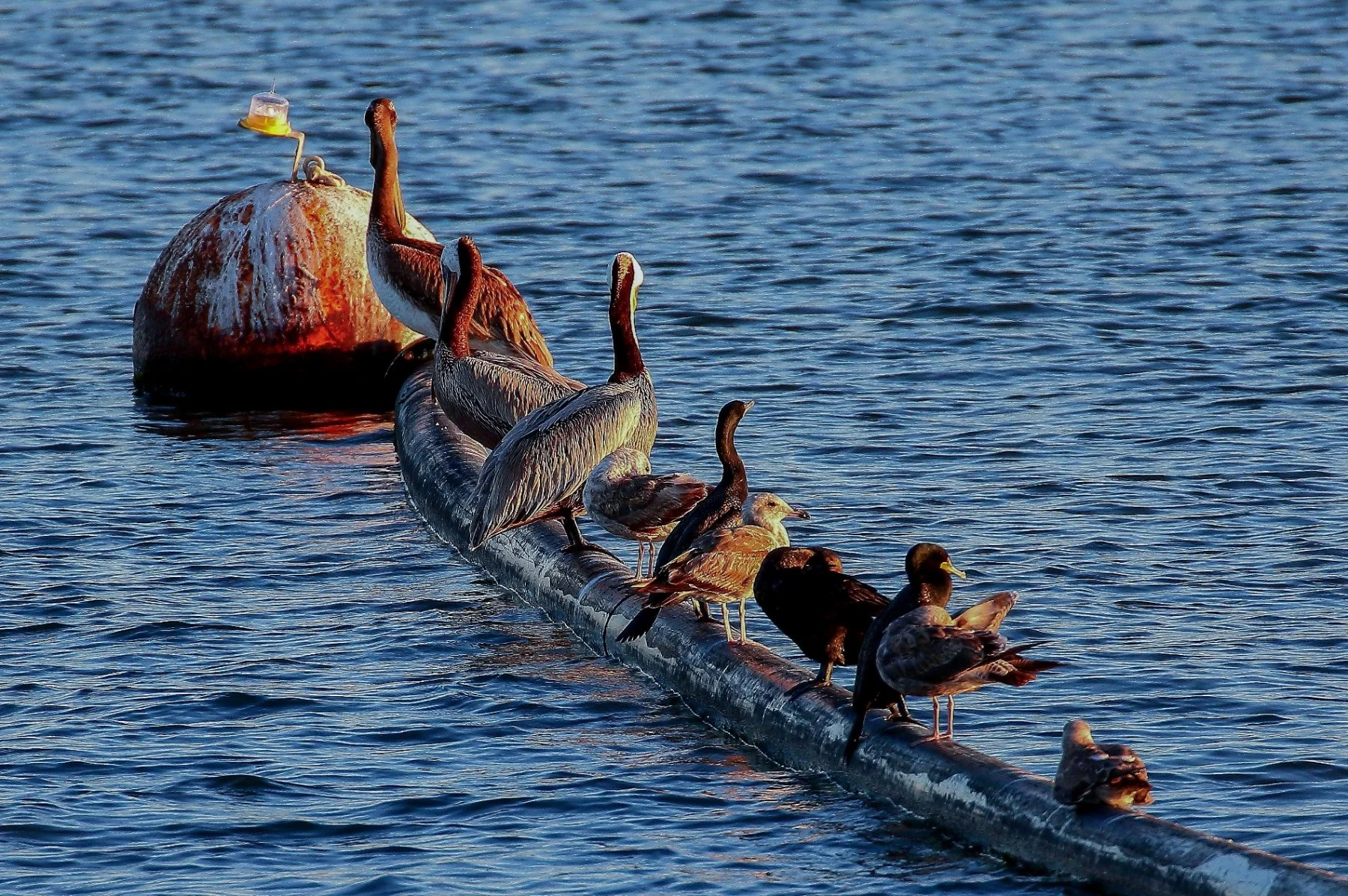 USA,Long Beach,034,-.JPG