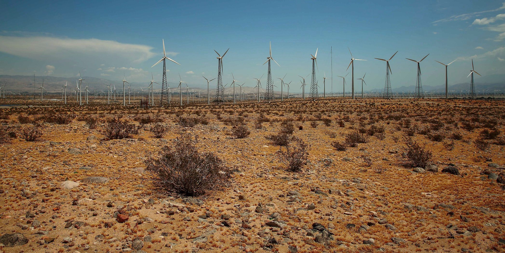 USA,Mohave,063,-.JPG