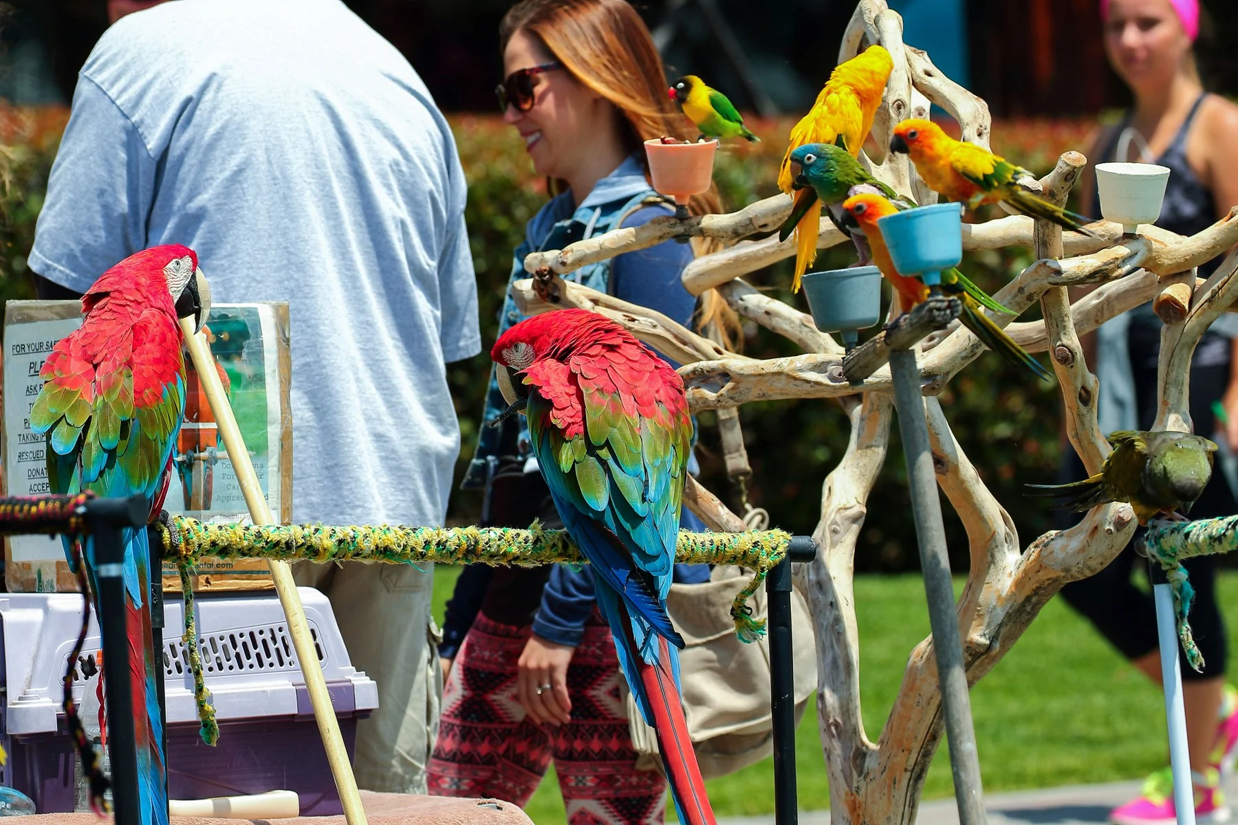 USA,San Diego,-110.JPG