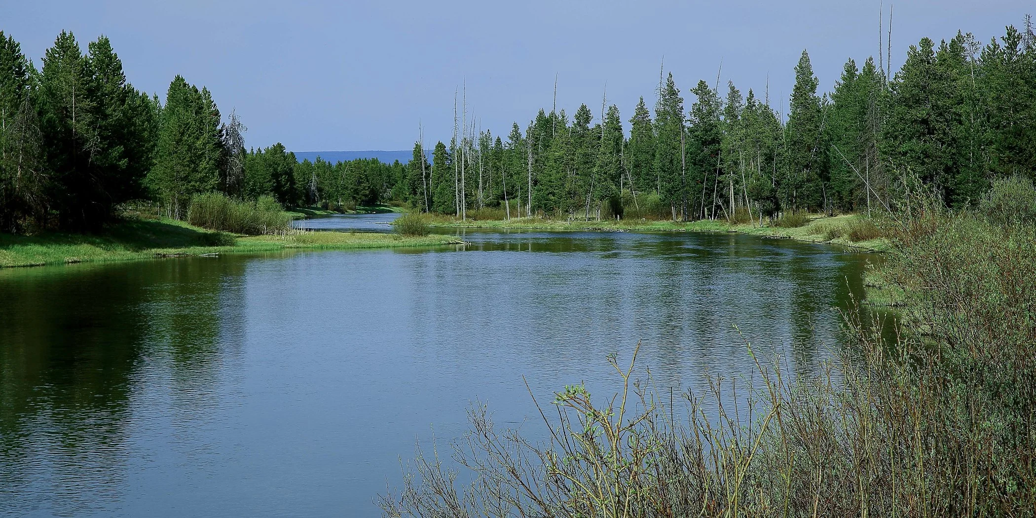 USA,Targhee Nat Forest,541,-.JPG