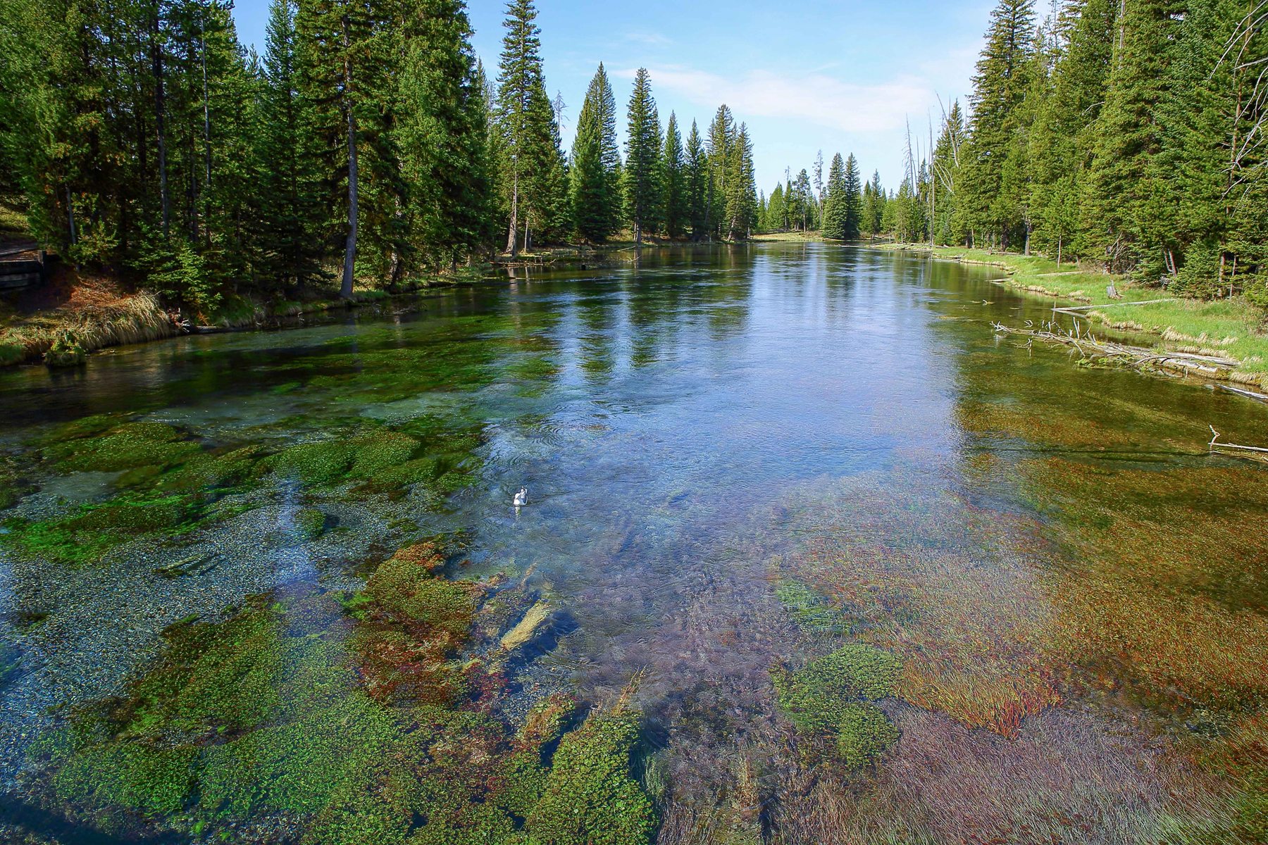 USA,Targhee Nat Forest,567,-.JPG