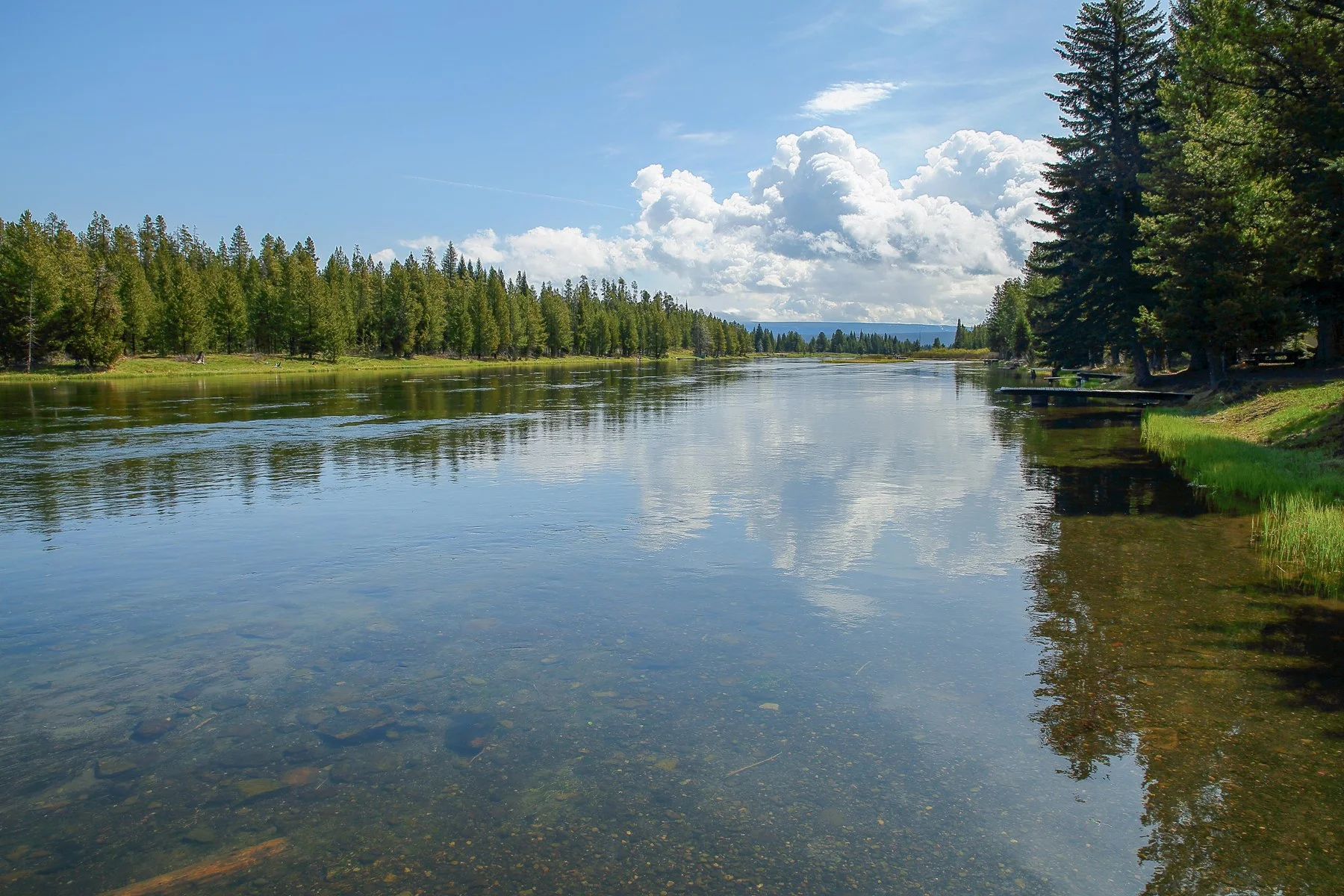 USA,Targhee Nat Forest,582,-.JPG