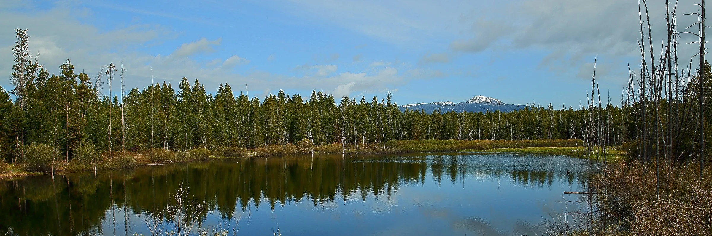 USA,Targhee Nat Forest,Mesa Falls,627-.JPG