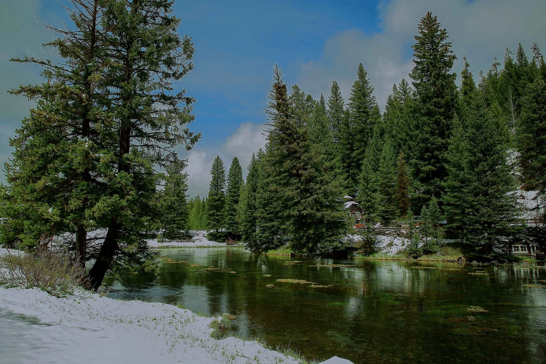 USA,Targhee Nat Park,994,-.JPG