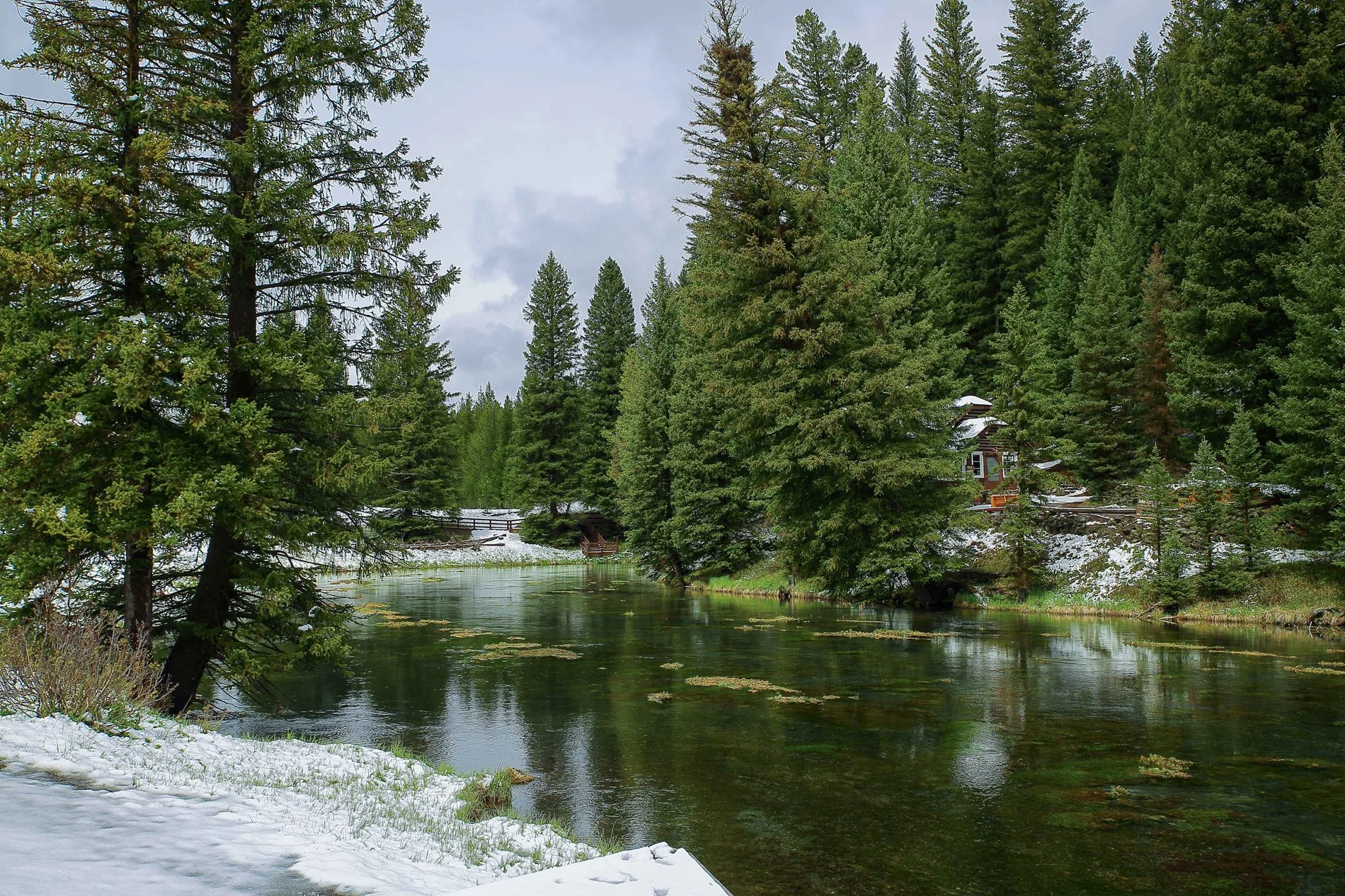 USA,Targhee Nat Park,1015,-.JPG