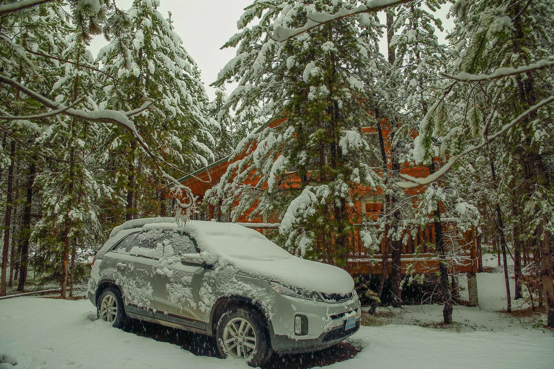 USA,The Pines,-975.JPG