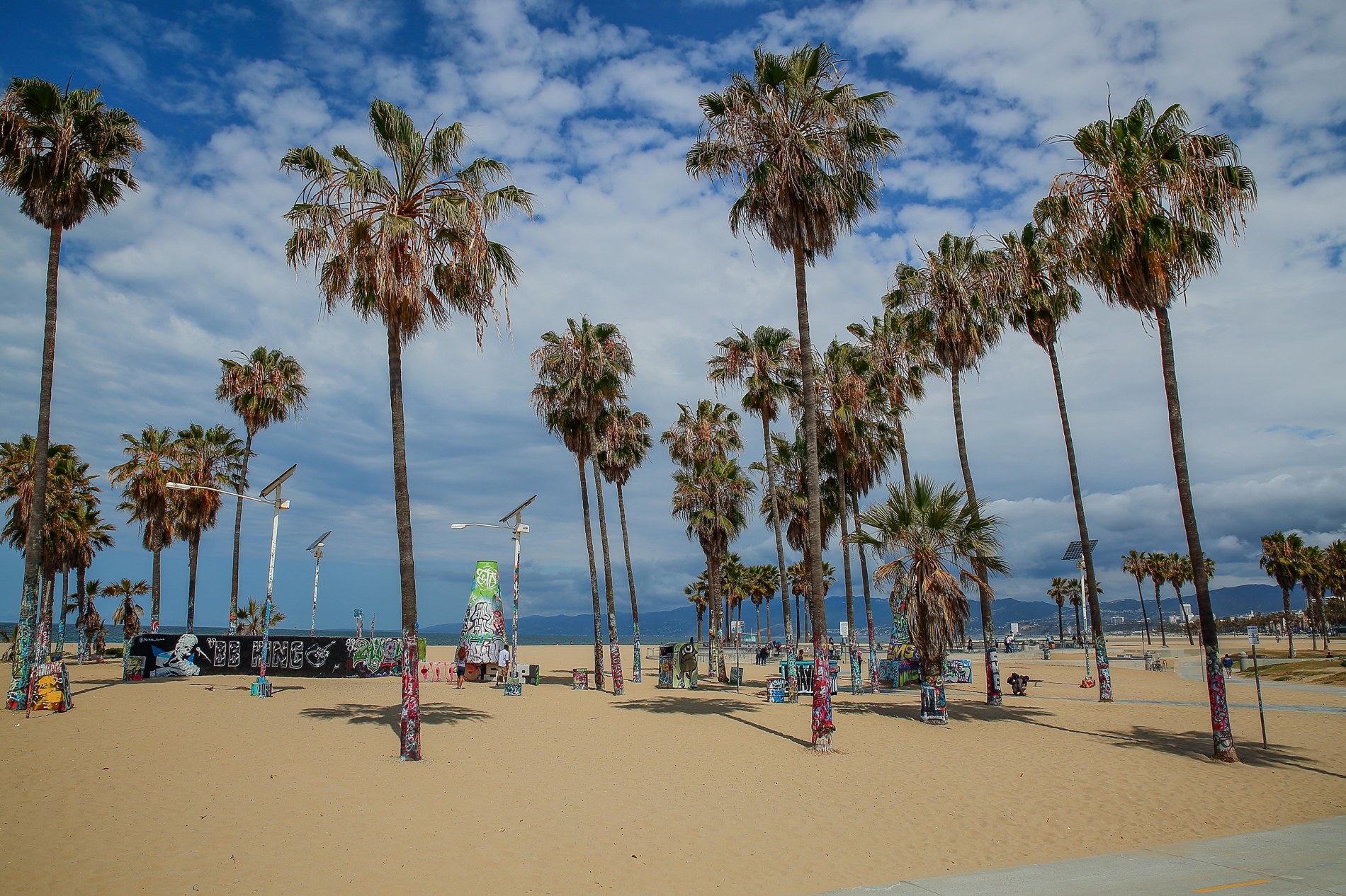 USA,Venice Beach,-1252.JPG