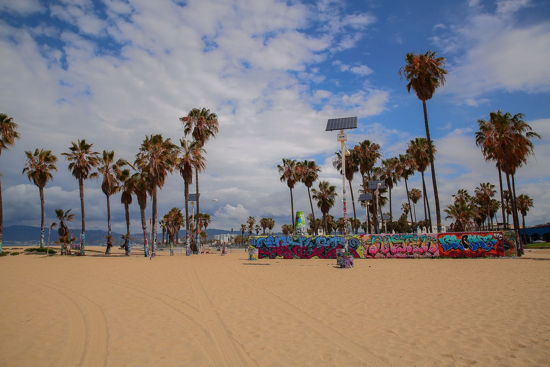 USA,Venice Beach,-1253.JPG